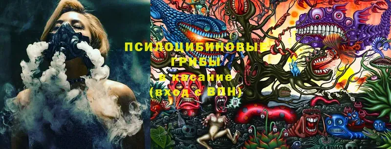 Псилоцибиновые грибы Cubensis  Агрыз 